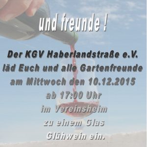 Glühweintrinken Dezember 2015